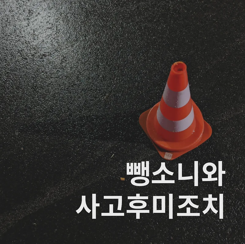 뺑소니, 사고 후 미조치