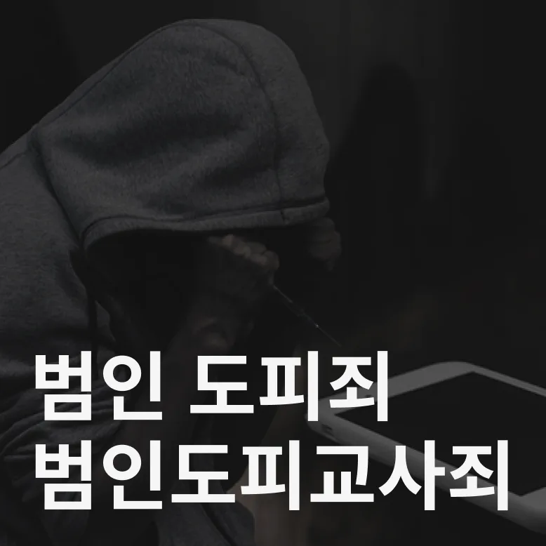 범인도피죄