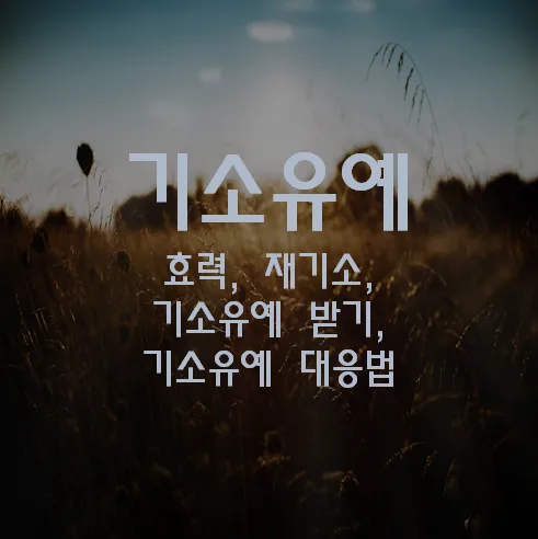 기소유예 효력